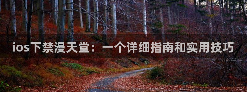omofun缓存