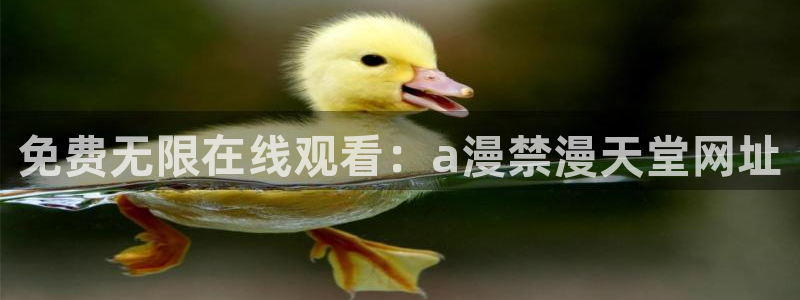 动漫天堂入口