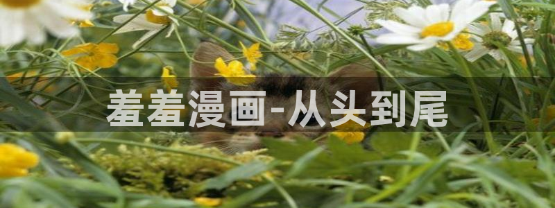 omofun动漫共和国下载