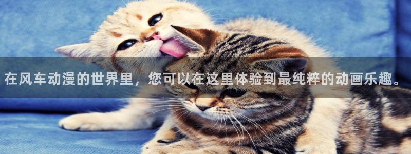 omofun官方网站进入：在风车动漫的世界里，您可以在这里体验到最纯粹的动画乐趣。