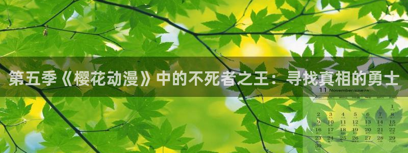 动漫天堂网站入口：第五季《樱花动漫》中的不死者之王：寻找真相的勇士