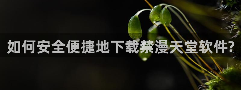 动漫天堂网页版：如何安全便捷地下载禁漫天堂软件?