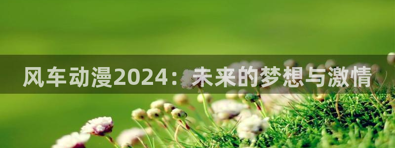 omofun动漫：风车动漫2024：未来的梦想与激情