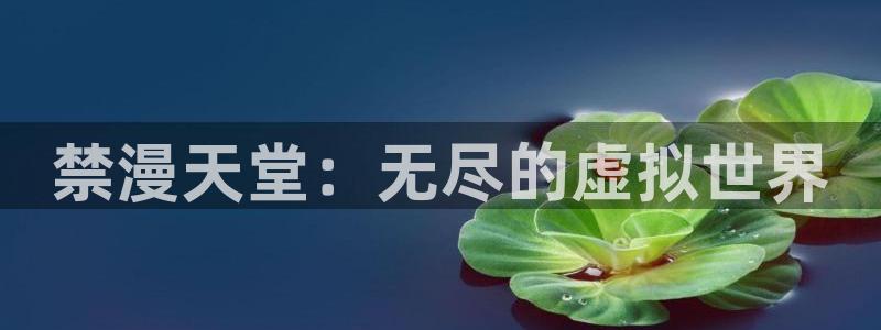 o站(omofun)官网：禁漫天堂：无尽的虚拟世界