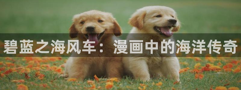 动漫共和国(omofun)官网：碧蓝之海风车：漫画中的海洋传奇