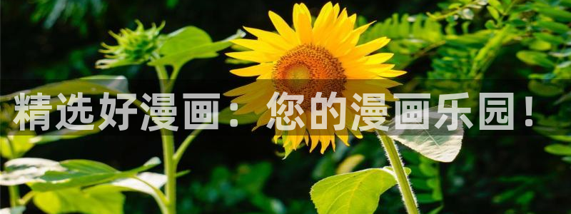 omofun宕卧：精选好漫画：您的漫画乐园！