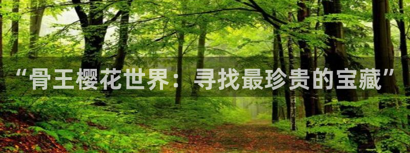 omofun动漫官方正版入口：“骨王樱花世界：寻找最珍贵的宝藏”