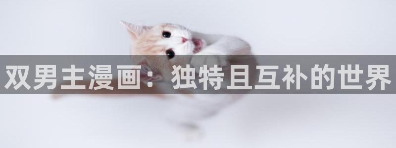 omofun.top：双男主漫画：独特且互补的世界