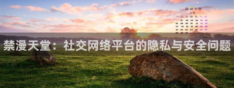 动漫天堂链接：禁漫天堂：社交网络平台的隐私与安全问题