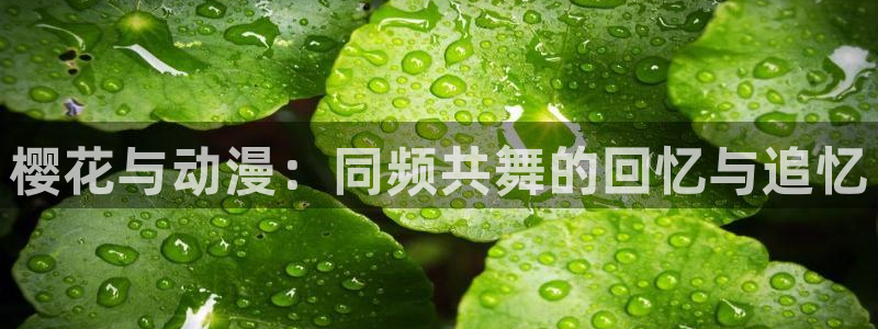 omofun2：樱花与动漫：同频共舞的回忆与追忆